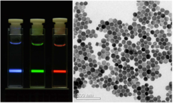 Links, Küvetten mit lumineszierenden Nanopartikeln, rechts: REM-Aufnahme von Upconversion-Nanopartikeln.